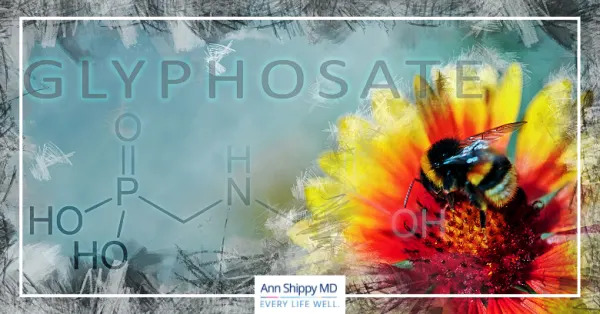 What is Glyphosate – is it a Carcinogen? 